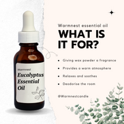 Eucalyptus Fragrance (10mL)